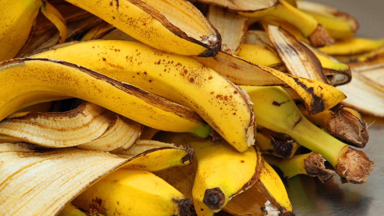 Aprenda a fazer farinha e chá de banana para fornecer potássio natural e fazer suas plantas crescerem rápido.