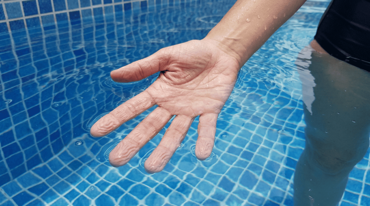 Ao contrário do que muitos pensavam antigamente, o enrugamento da pele não é um processo passivo de absorção de água pelas camadas externas