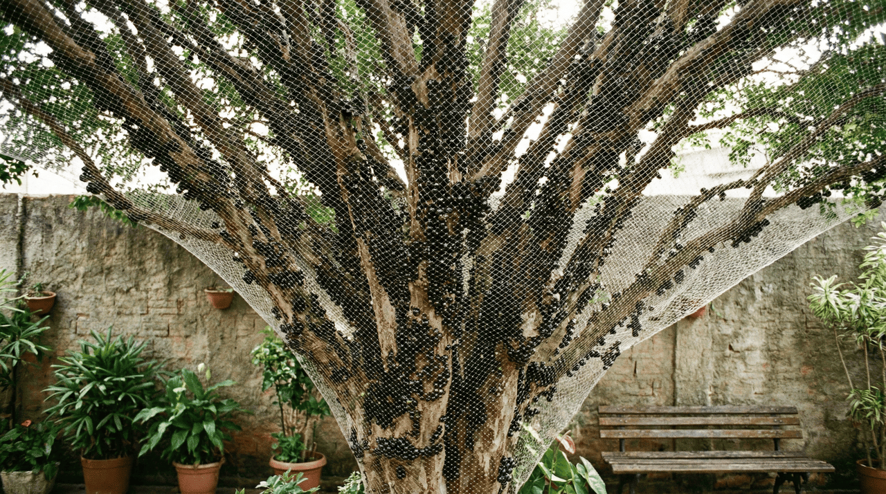 A presença de aves é um sinal de saúde no ecossistema do seu jardim, porém, o apetite desses visitantes pode dizimar colheitas inteiras em poucos dias