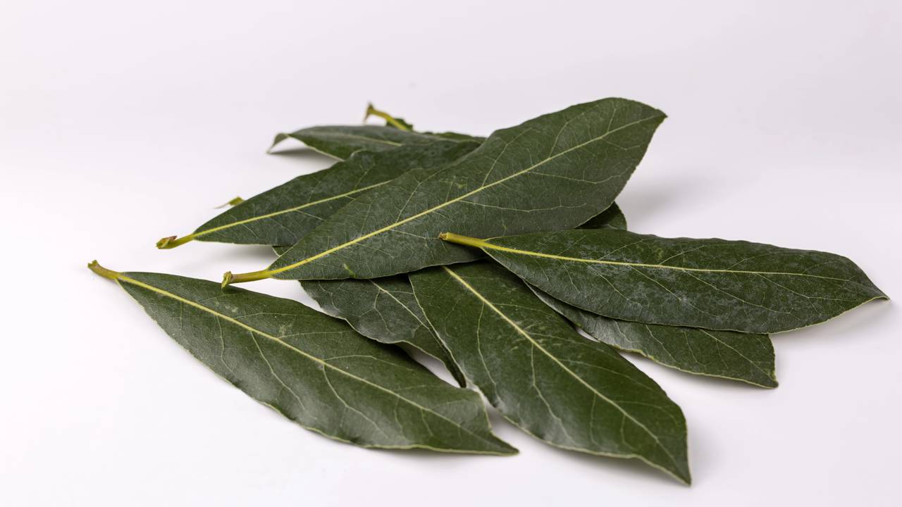 O truque caseiro que afasta formigas e deixa sua cozinha com aroma de limpeza.