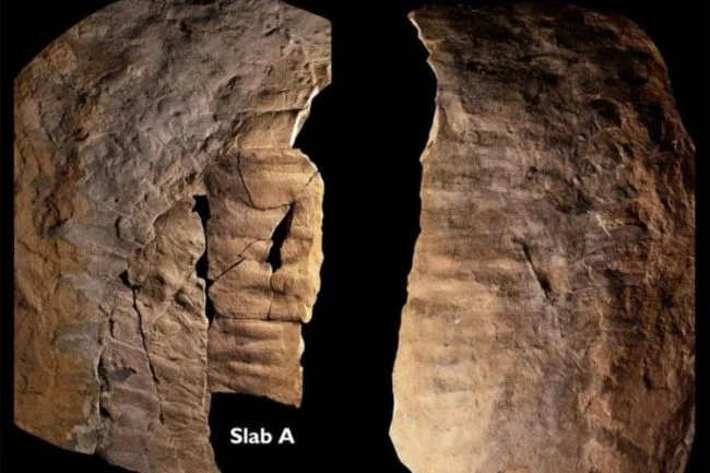 Uma descoberta que reescreve a história dos artrópodes gigantes na Terra antiga.