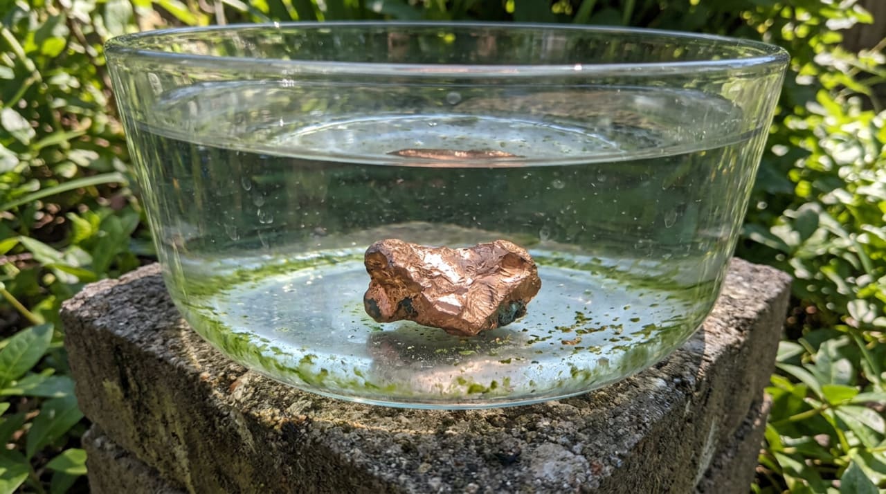 O cobre é um excelente aliado contra as algas, mas não dispensa os cuidados básicos de manutenção que todo bebedouro para pássaros exige
