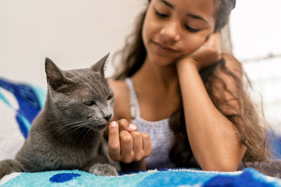 Especialistas em comportamento animal explicam que os gatos são excelentes observadores e aprendem por associação