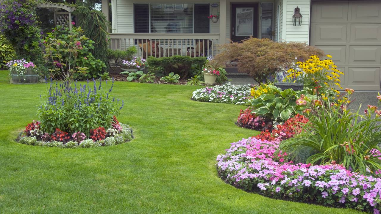 Como montar um jardim de revista gastando apenas com terra e sementes