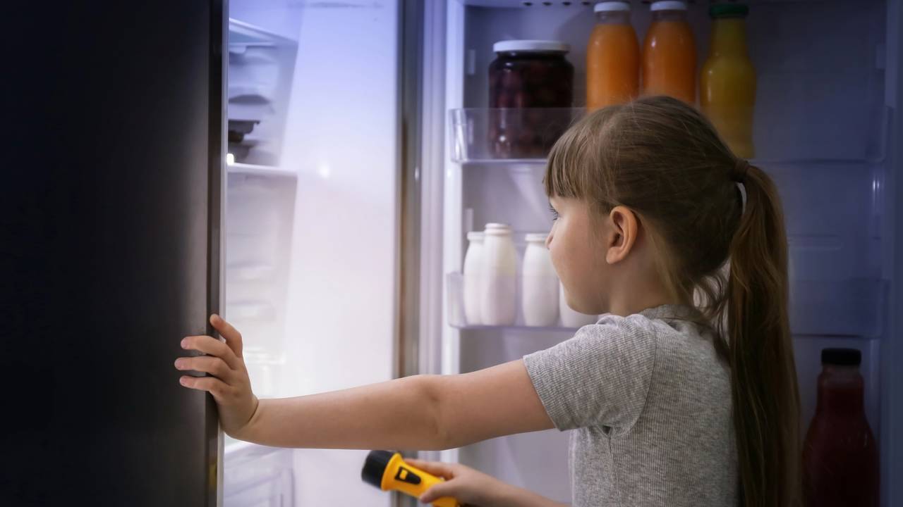 Teste da lanterna: o guia passo a passo para verificar a vedação do seu refrigerador em casa e sem gastar nada.