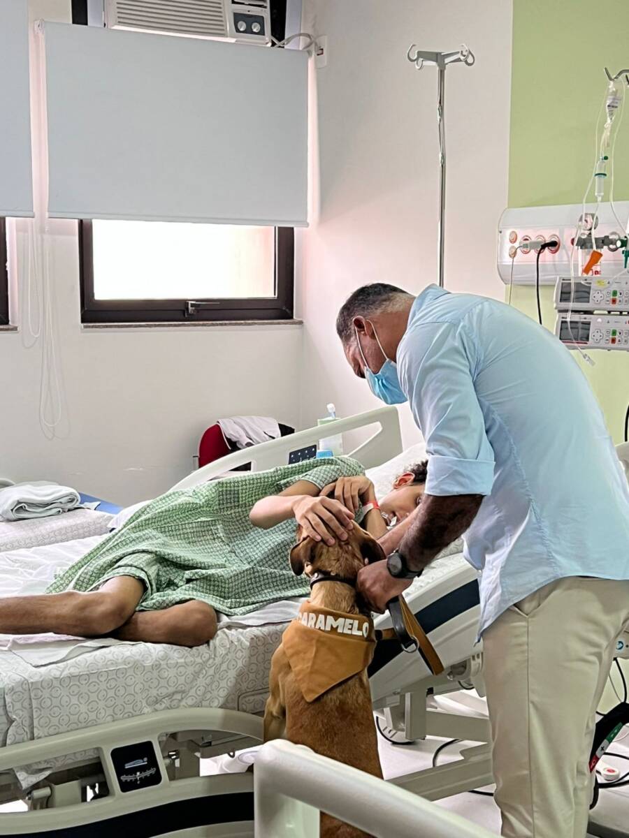 Cães resgatados levam afeto a crianças com câncer em ação no GRAACC