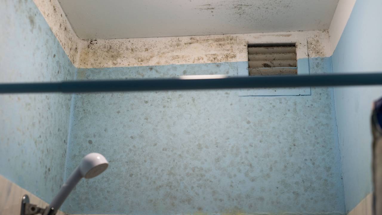 Pare de usar produtos agressivos que danificam seu azulejo. Confira o segredo para remover o mofo profundo e renovar a vedação da pia de forma rápida e barata.