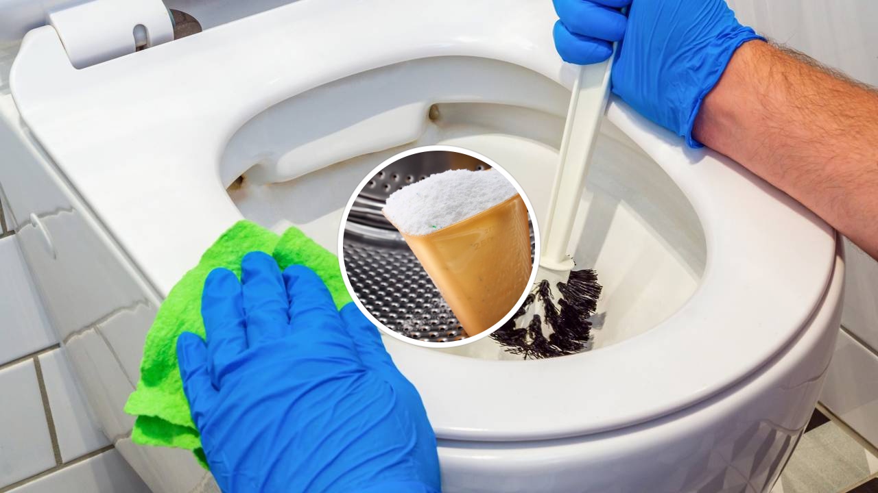 O segredo do banheiro de hotel em casa? Conheça o truque do sabão em pó noturno e veja como potencializar a higienização do vaso combinando produtos de lavanderia e limpeza.