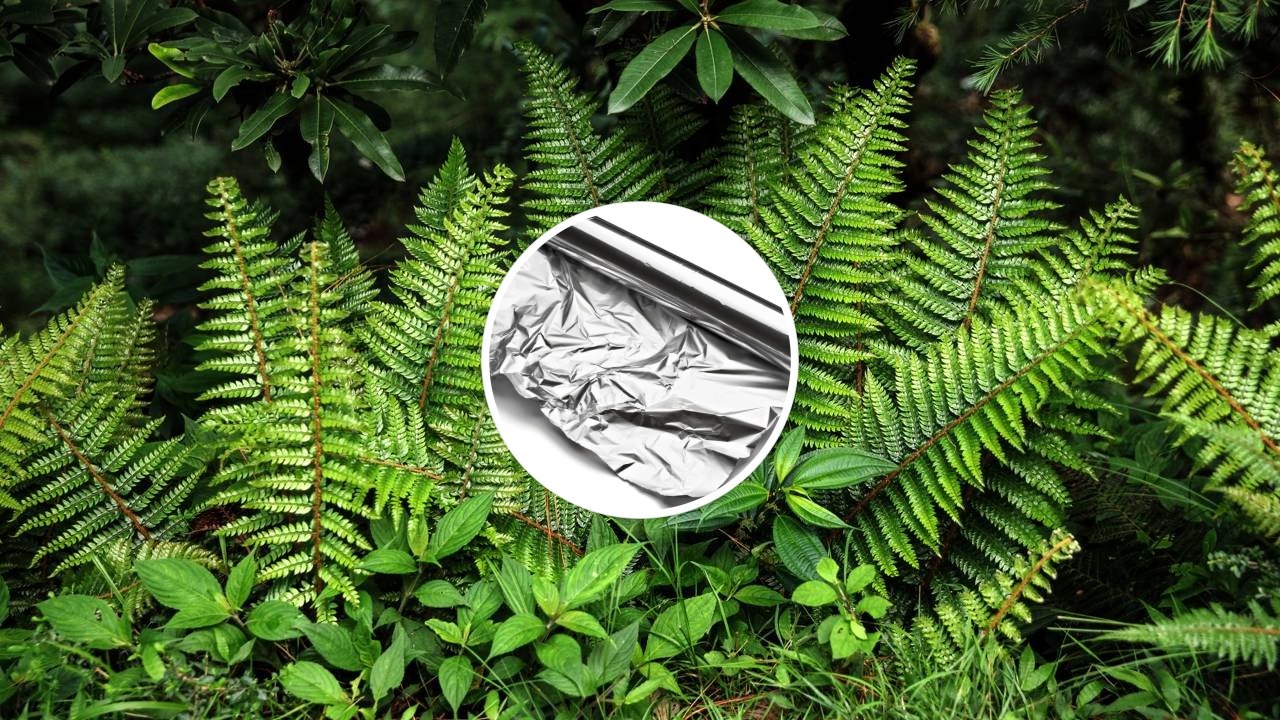 A ciência do reflexo: entenda por que o brilho do alumínio desorienta pragas voadoras e melhora a luz da sua varanda.