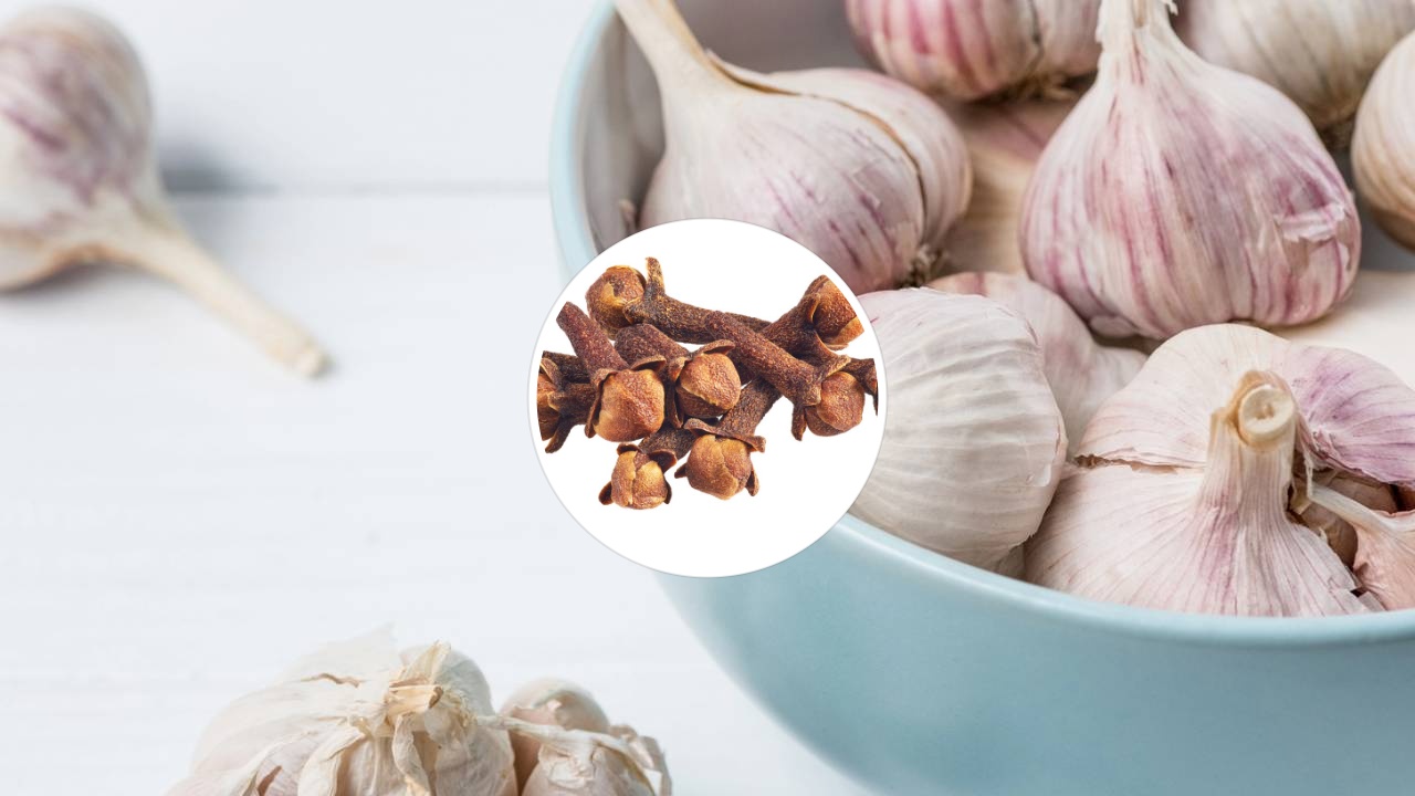 Revitalize suas unhas em 10 minutos. Dicas de infusão e aplicação para unhas mais firmes hoje.