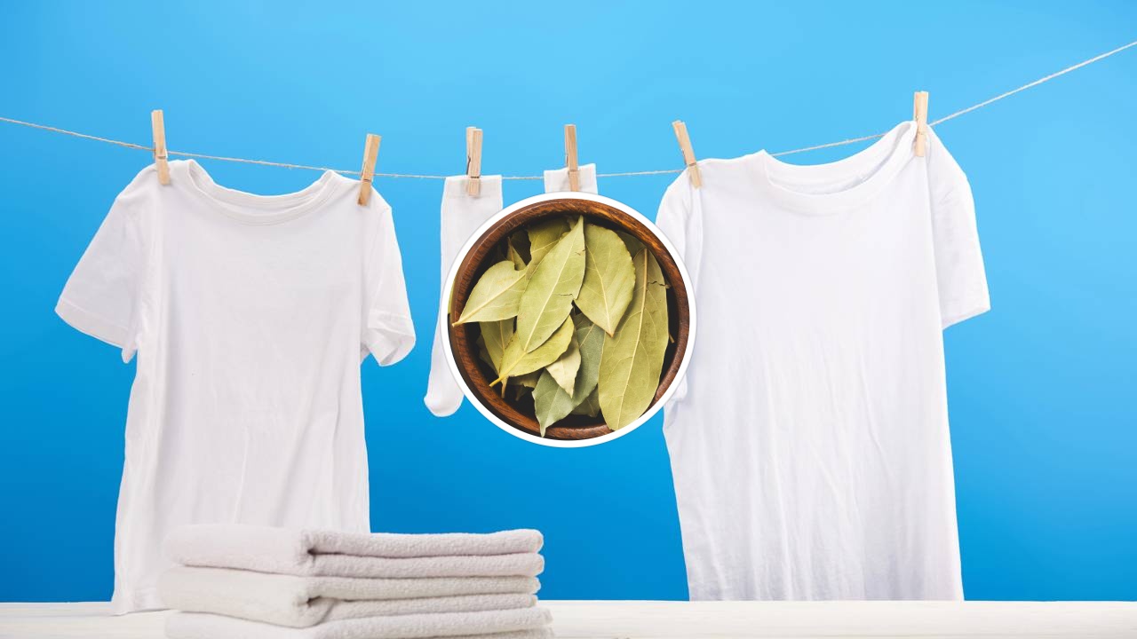 3 cuidados essenciais ao usar água quente e louro para branquear tecidos delicados.