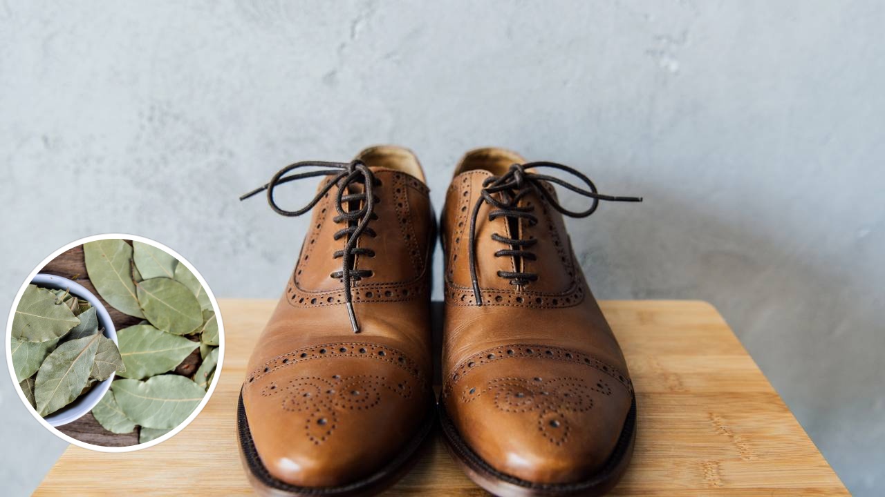 Ritual da vitória: como a folha de louro no sapato ajuda no foco para entrevistas e provas.