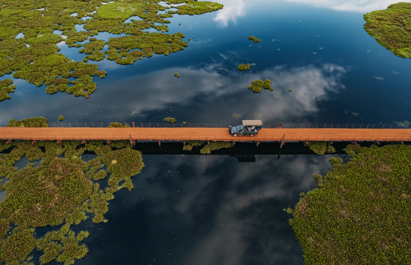 O ciclo das águas dita a experiência do e define a melhor época para a observação da fauna silvestre no bioma