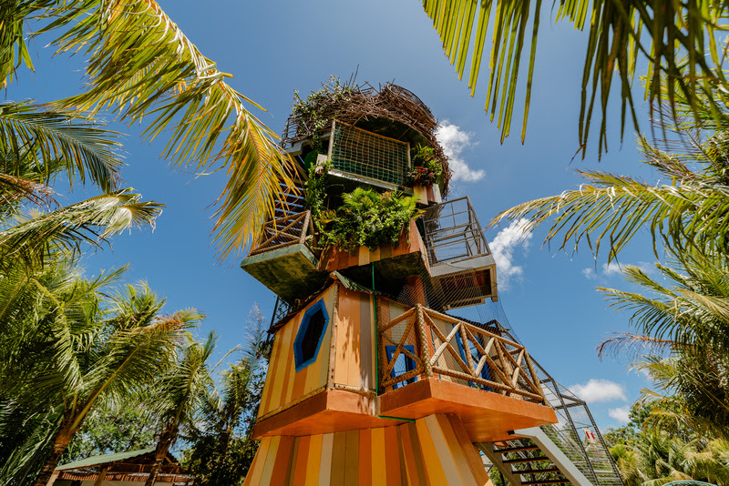 A Casa do Passarim é uma das atrações do Parque Arvorar