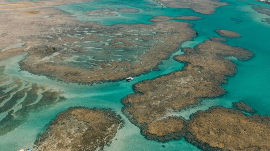 Recifes de corais e paisagens de tirar o fôlego no litoral norte de Alagoas