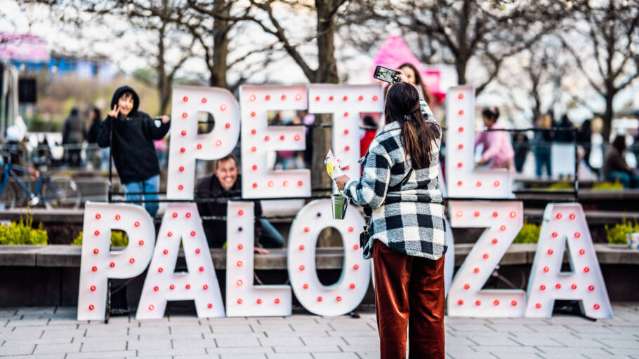 Petalpalooza é um dos eventos que celebram a floração das cerejeiras em Washington, D.C