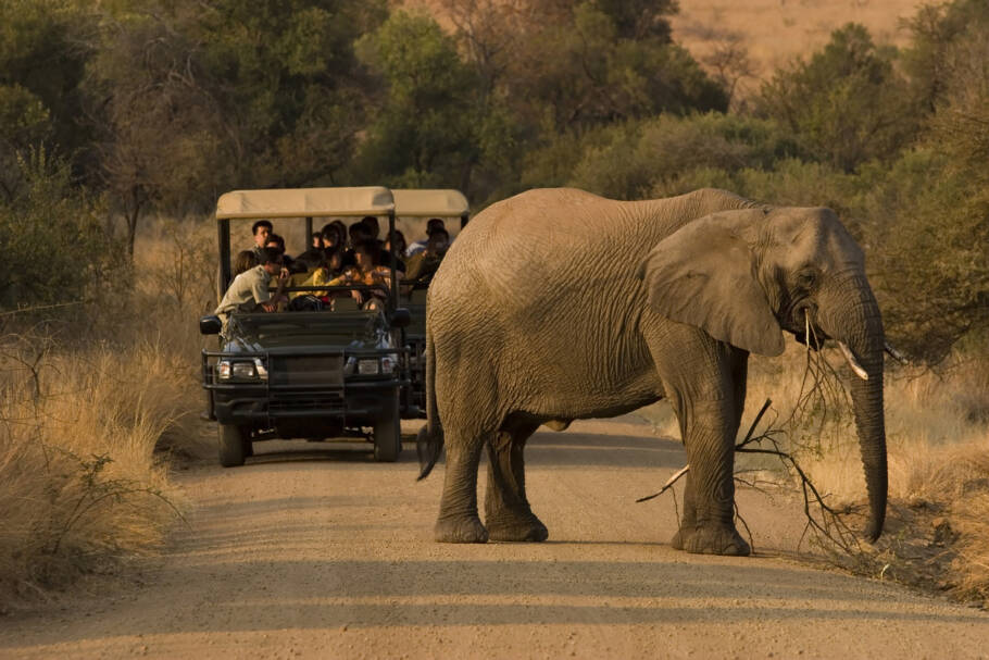 Turistas fazem safári no Parque Nacional de Pilanesberg, na África do Sul
