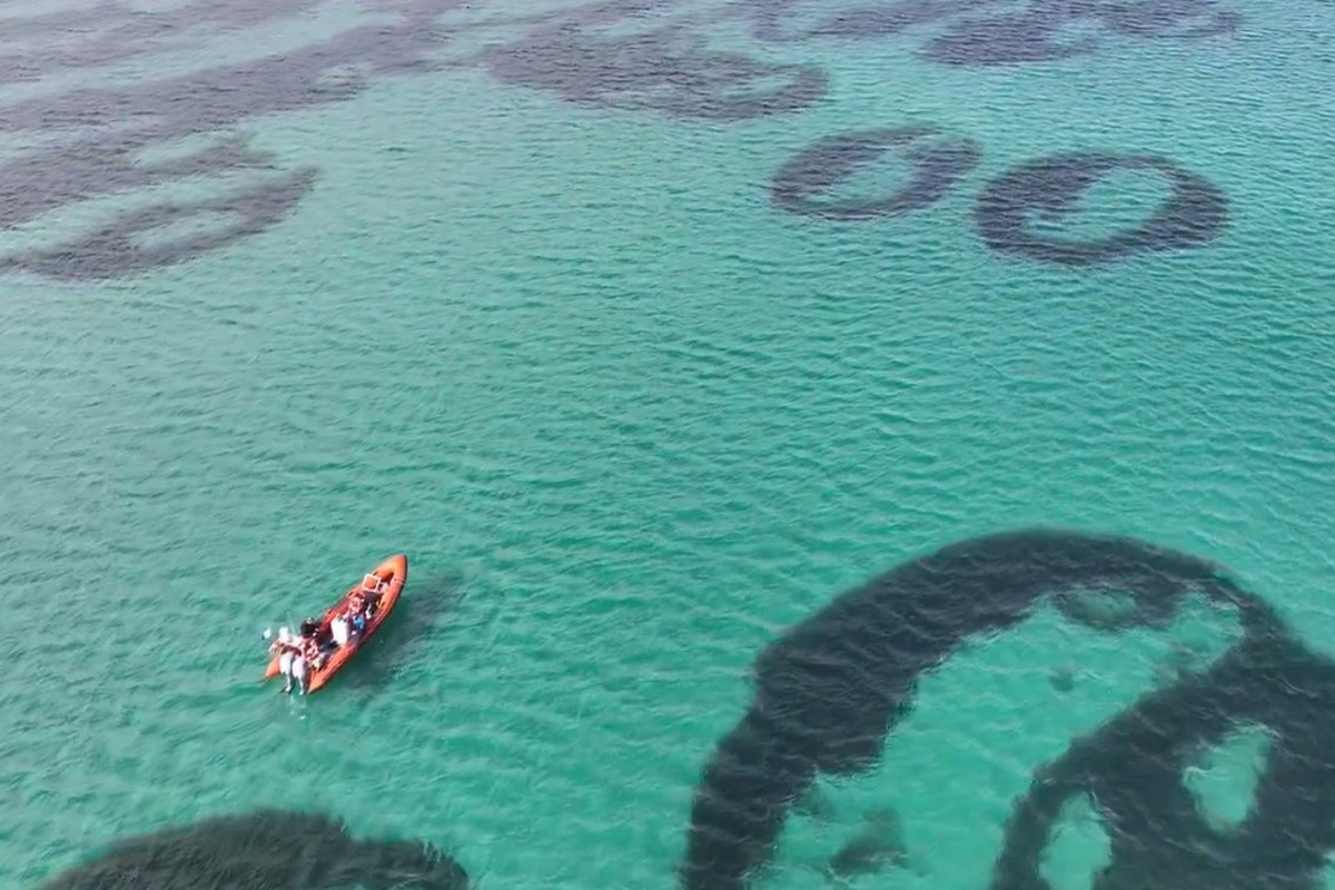 A equipe marinha da NatureScot capturou imagens raras de “círculos de fadas” de gramíneas marinhas.