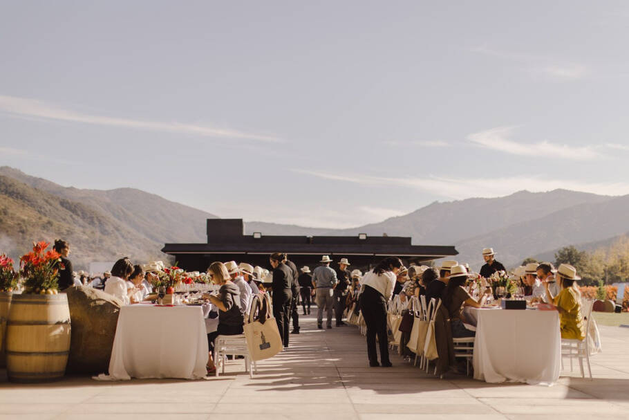 Experiência sensorial integra vinho, gastronomia e expressão cultural