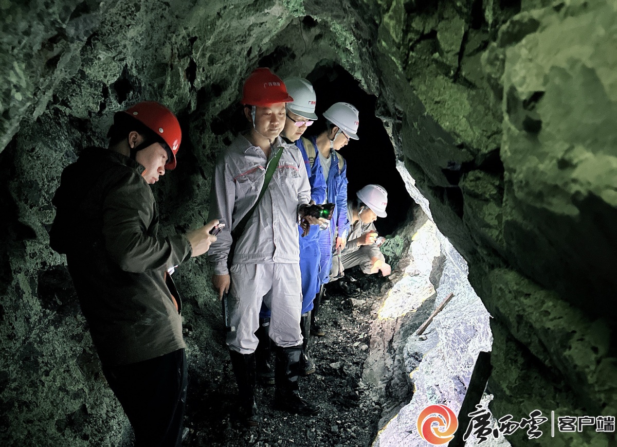 Alguns especialistas disseram que os recursos minerais de níquel e cobalto da China são muito escassos, especialmente o cobalto há muito tempo depende fortemente das importações