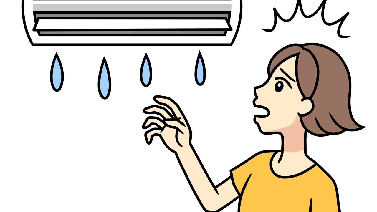 Veja como usar esse recurso com segurança para regar plantas e limpar o chão com praticidade.