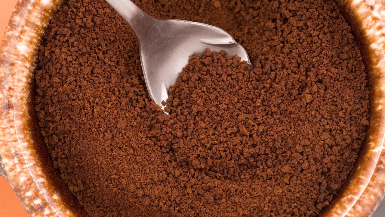 Pouca gente usa borra de café no jardim da forma correta. Esse truque simples pode reduzir insetos e melhorar o solo sem esforço.