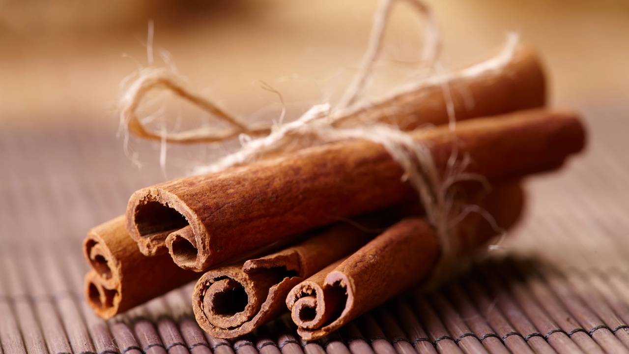 Formigas e mosquitos incomodando? Use o aroma da canela para criar uma barreira protetora no seu cantinho verde.