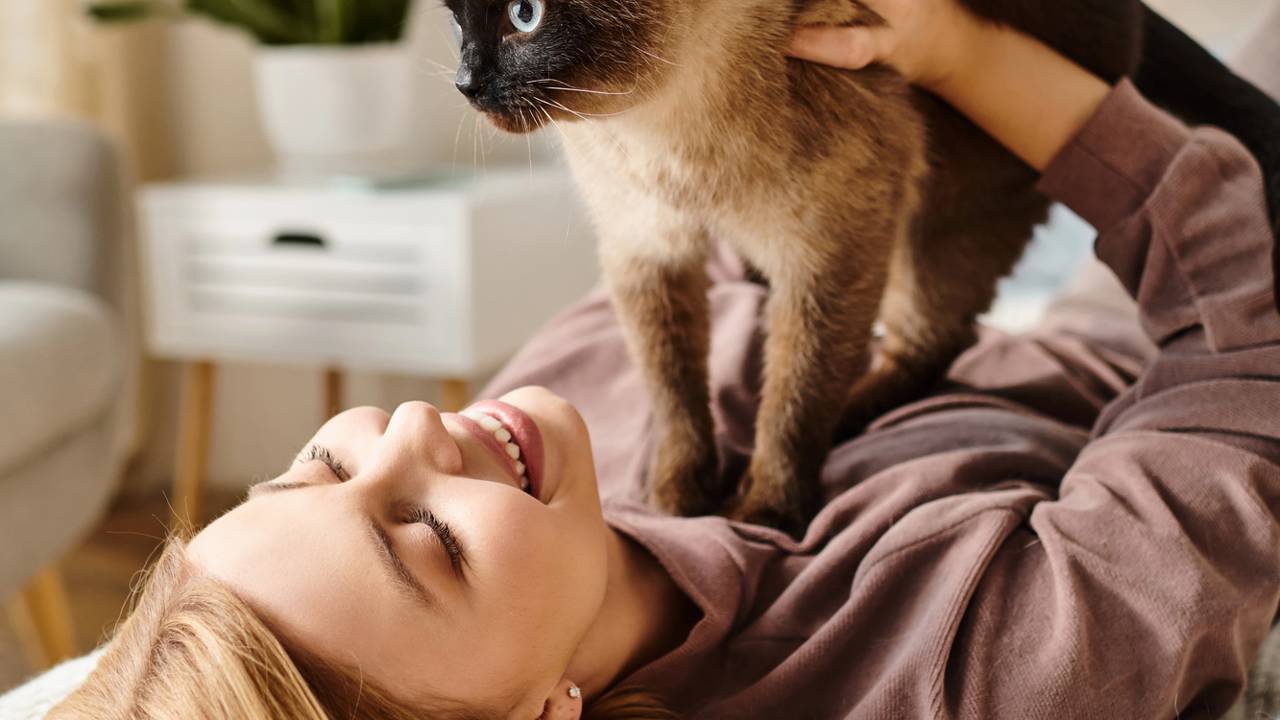 Linguagem Corporal dos Gatos