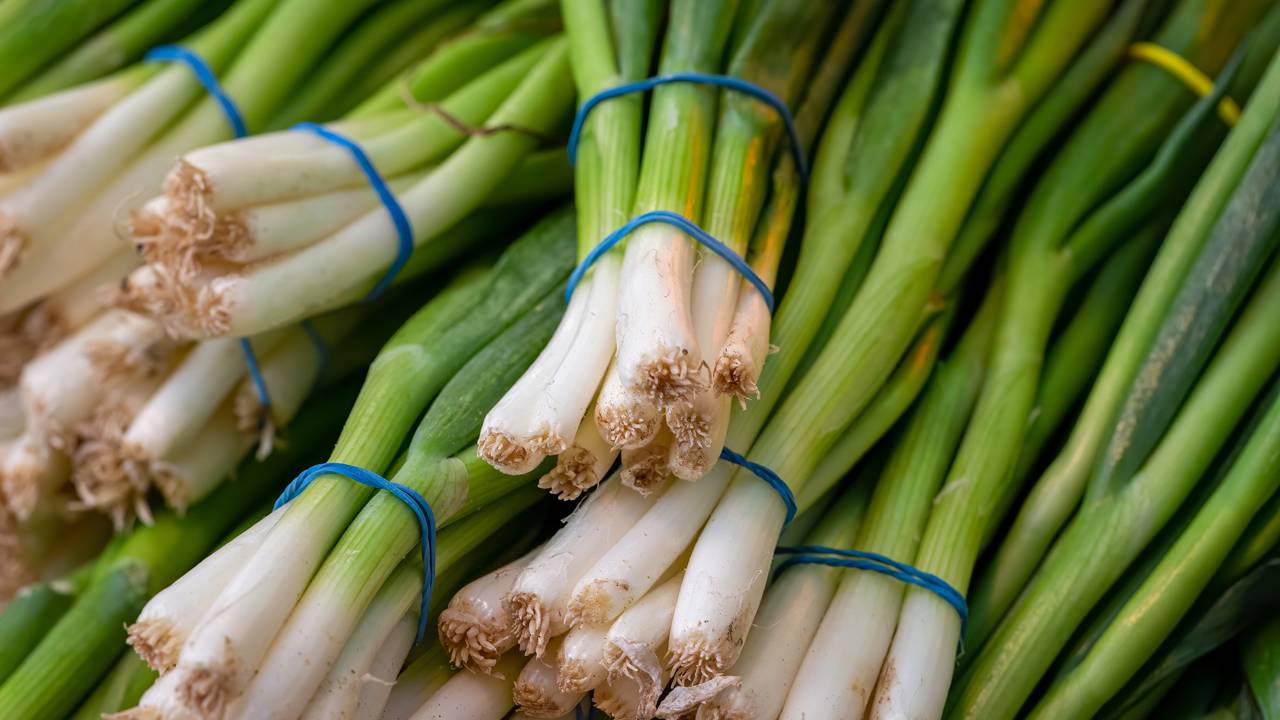 O segredo da cebolinha que sempre cresce: descubra a técnica da poda correta e os cuidados com o solo para ter uma horta produtiva e sofisticada na sua cozinha.