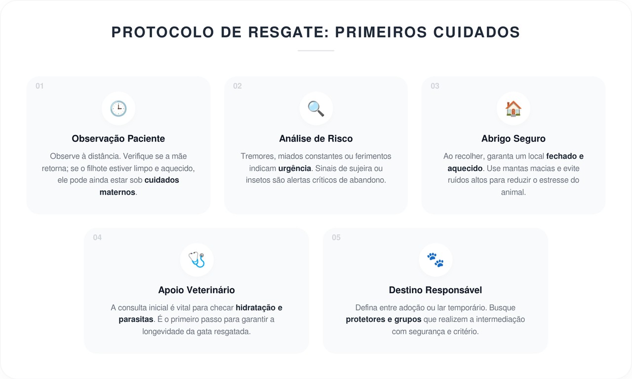 Um gatinho de rua não conseguia encontrar sua mãe e "chorou no mesmo lugar por 3 dias". Uma mulher, incapaz de suportar vê-lo esperando, o levou para casa, exclamando que havia encontrado um tesouro