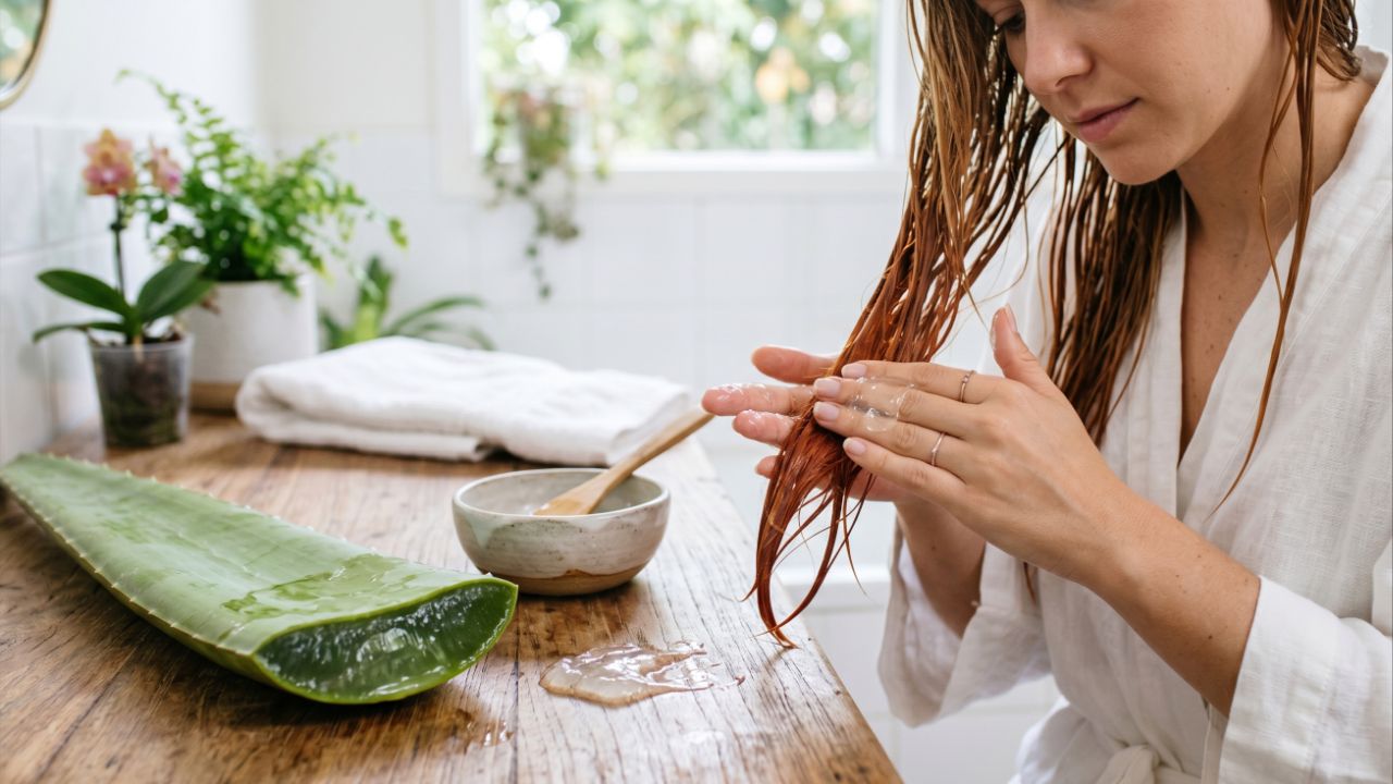 Aloe vera hidrata e realça o brilho de cabelos tingidos com segurança.