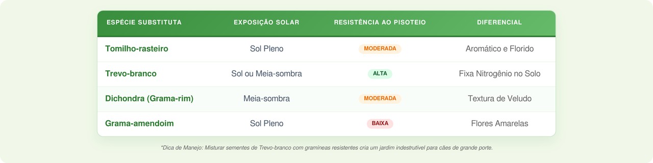 Quer um jardim de revista com zero manutenção? Esse guia de plantas rasteiras é o biohack que faltava pro seu estilo de vida ao ar livre.