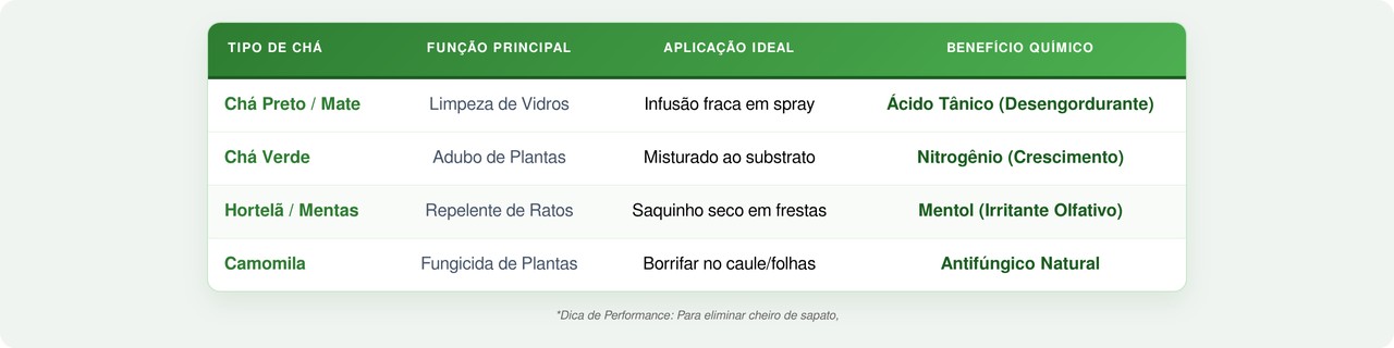 Não é lixo, é ouro verde! Aprenda a abrir o saquinho de chá direto no vaso das suas plantas pra elas crescerem como nunca.