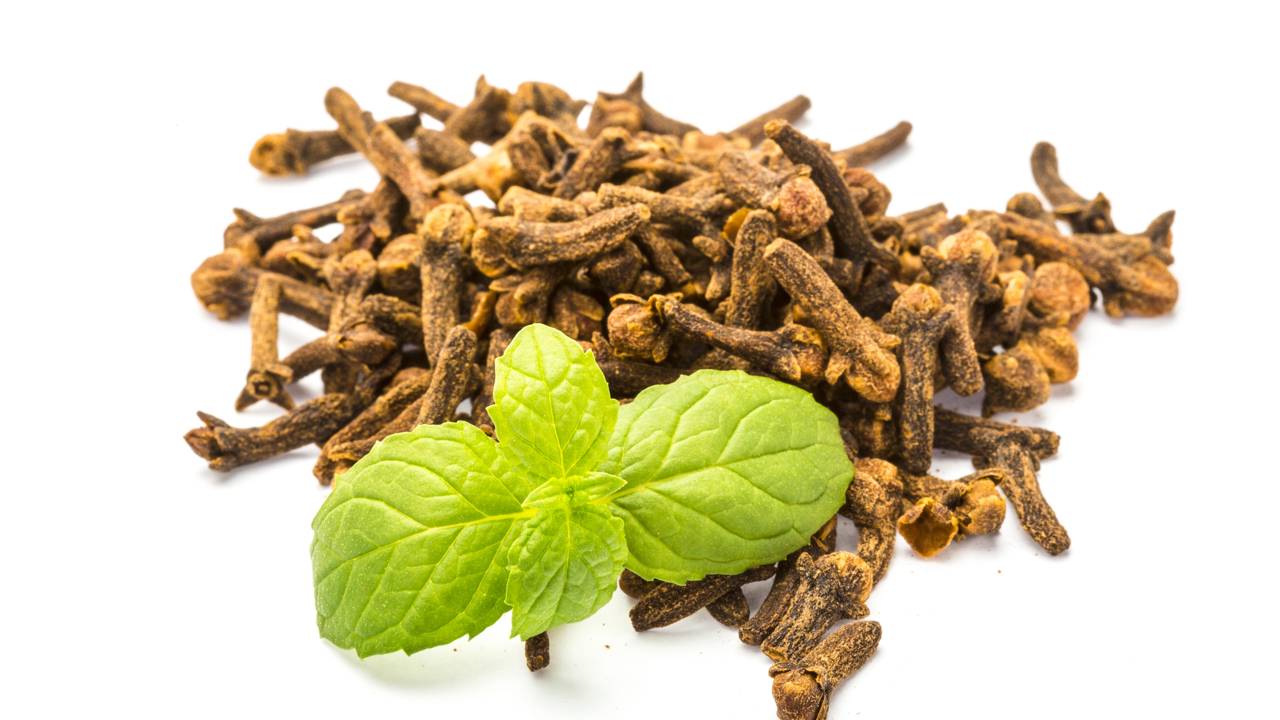 Pare de gastar com formicidas! Use o poder térmico para um controle biológico eficiente e sustentável.