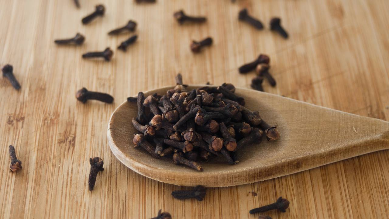 Barreira antifúngica: aprenda a distribuir o cravo de forma estratégica para neutralizar odores