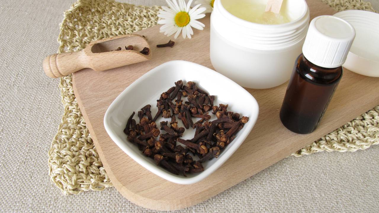 Chega de repelentes tóxicos! Veja como a volatilidade do cravo protege seu sono em Eunápolis e mantém a assepsia do seu lar sofisticado