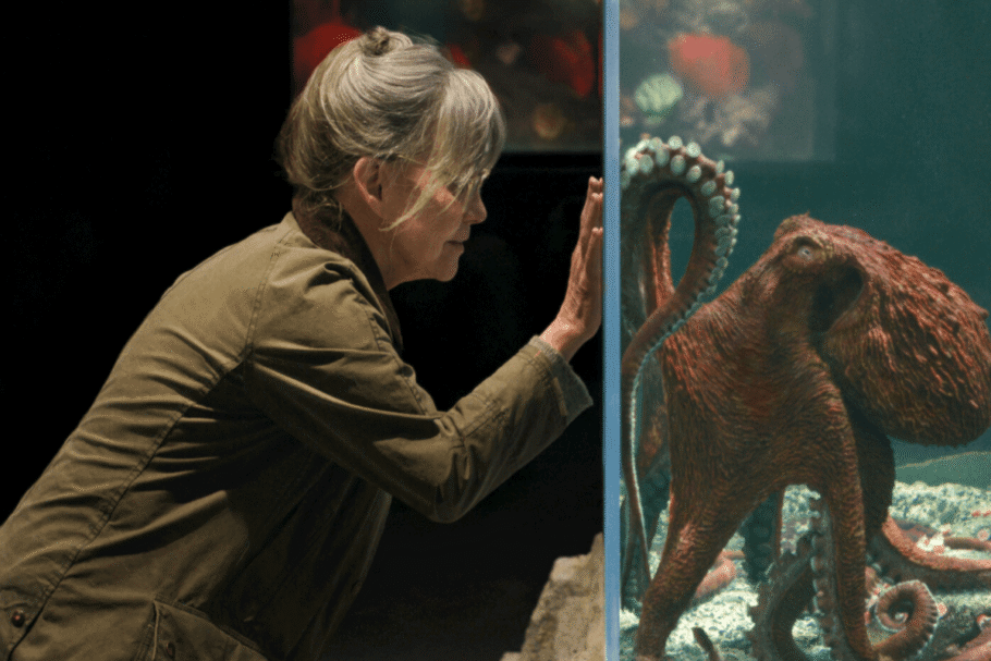 “Criaturas Extraordinariamente Brilhantes” conta a história de uma viúva que forma uma parceria com um polvo-gigante e um jovem em busca de família (Imagem: Reprodução digital | Netflix)
