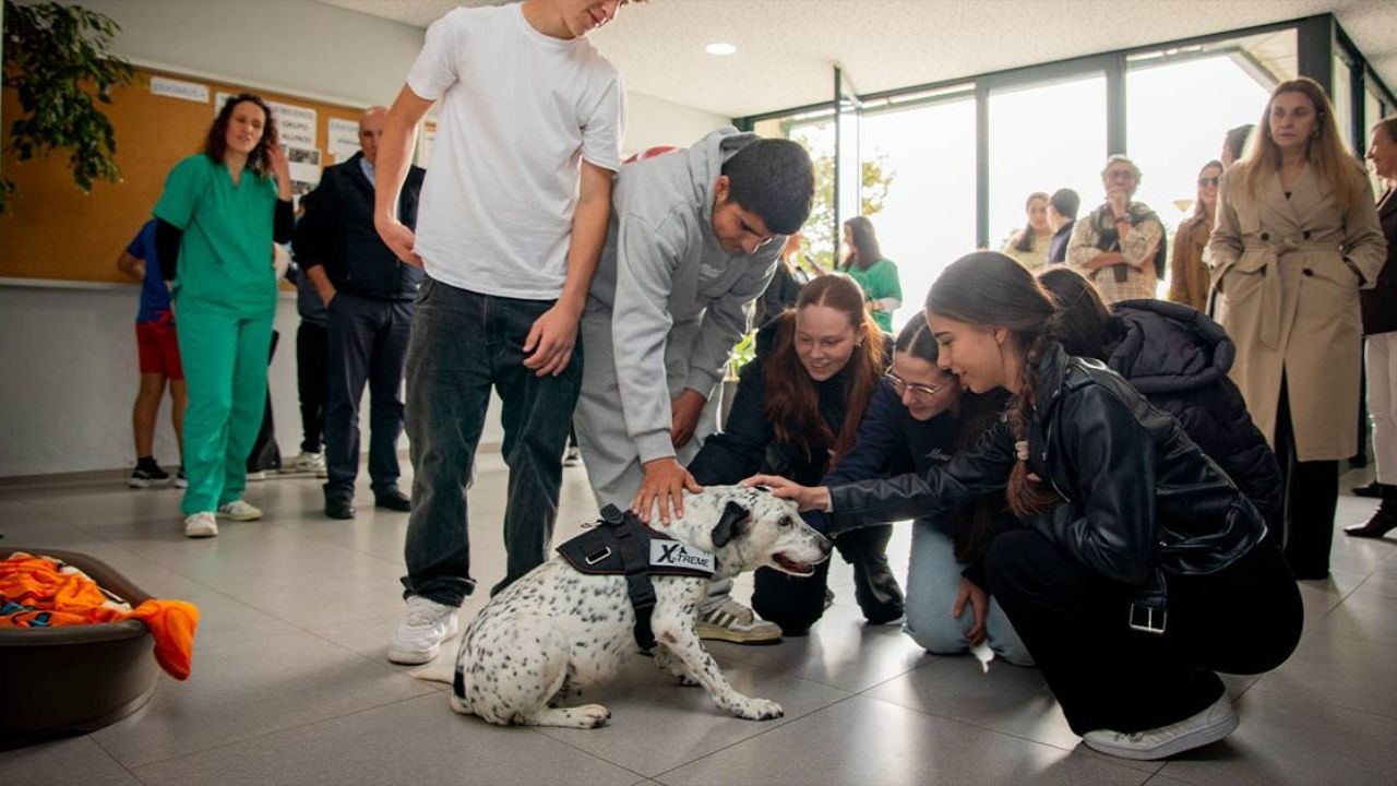 O projeto EducaCÃO usa o convívio com animais para estimular a empatia e o bem-estar emocional no ambiente escolar. /Créditos: (Foto: CM Barcelos)