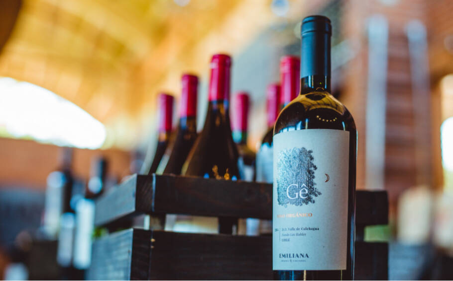 Vinícola oferece tour de degustação de vinhos orgânicos