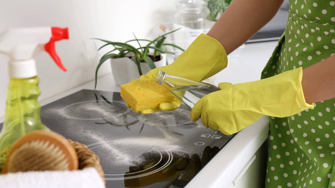 Por que o armário fede? A ciência da decomposição fúngica e como o vinagre interrompe esse processo