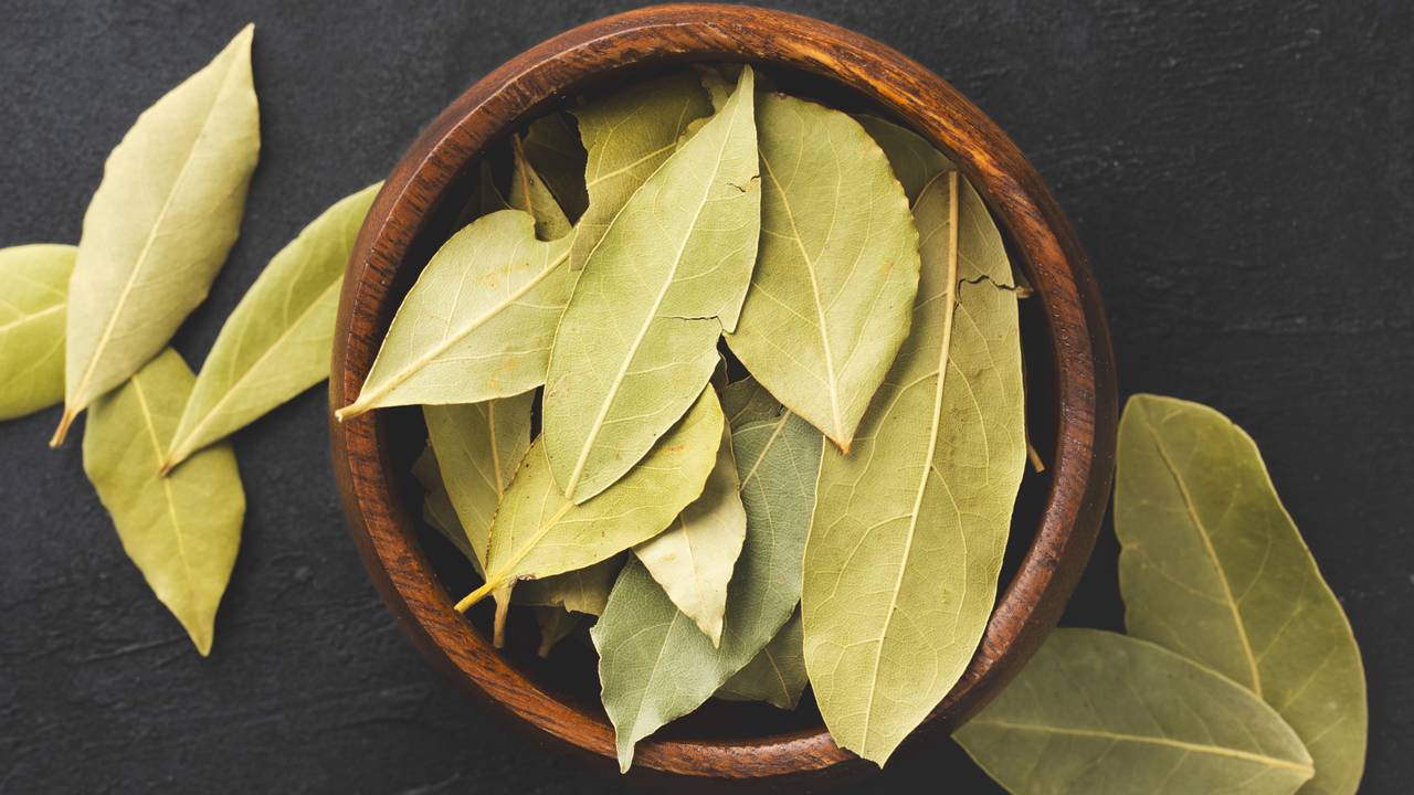 Adote o ritual do louro para uma casa que respira natureza e cuidado.