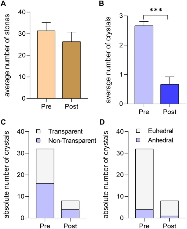 Resultados do Experimento 2. (A) Número médio de pedras nas pilhas antes e depois do experimento. (B) Número médio de cristais nas pilhas O teste não paramétrico de Mann–Whitney indicou diferenças significativas (p < 0,0001) entre o número médio de cristais antes e depois do experimento (C) Número absoluto de cristais transparentes e não transparentes antes e depois do experimento. (D) Número absoluto de cristais euédricos antes e depois do experimento.