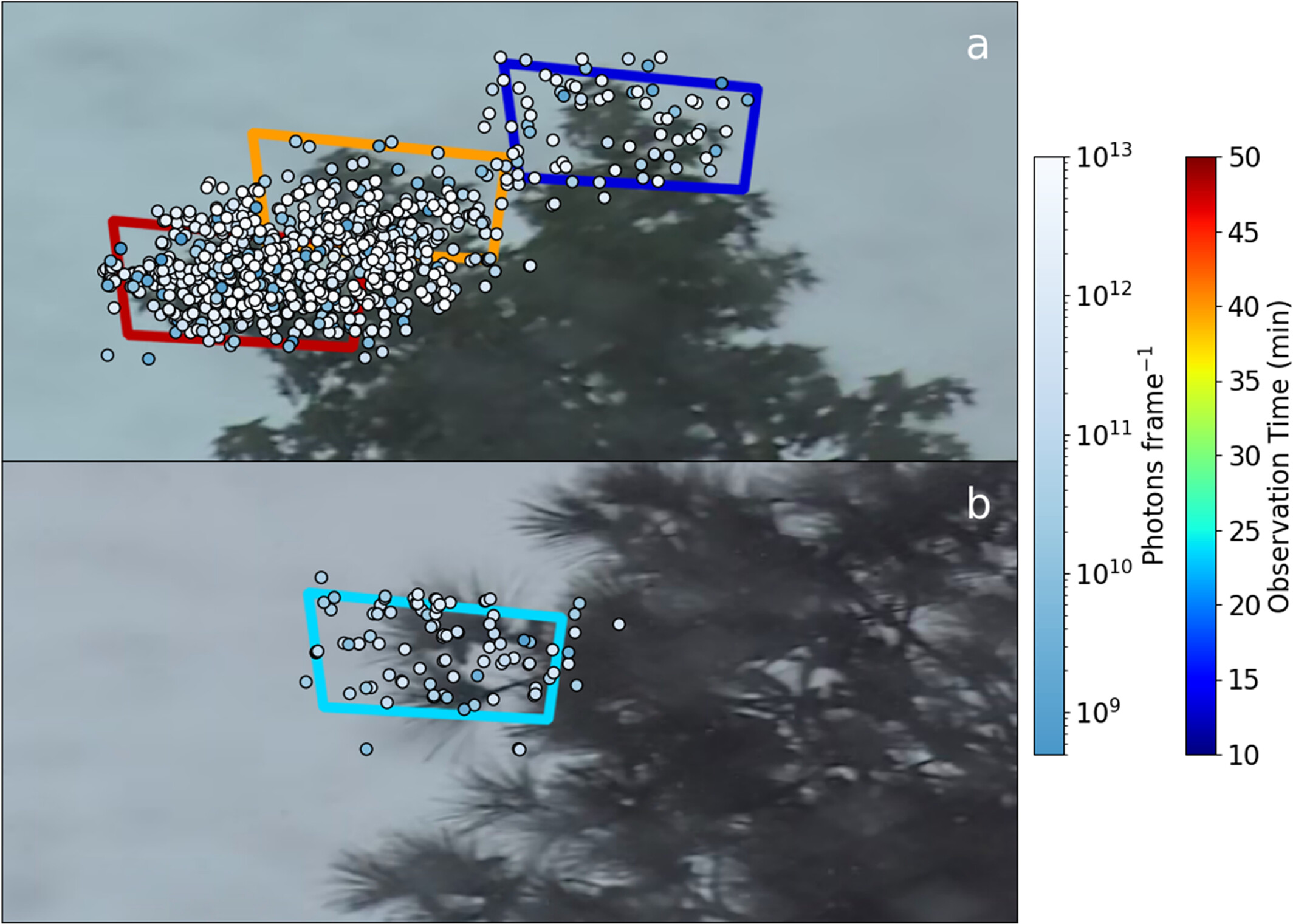 Sinais UV da corona observados sob uma tempestade em 27 de junho de 2024. (a) Localização aproximada de todos os 859 sinais UV corona observados durante o período de observação de ∼1,5 horas em uma árvore de Sweetgum.