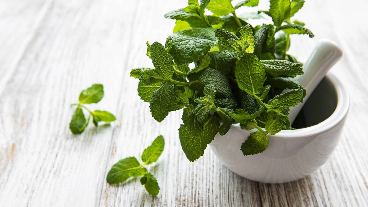 Usar hortelã fresca na cozinha melhora o cheiro do ambiente e ainda ajuda nas receitas. Um detalhe simples que faz diferença.