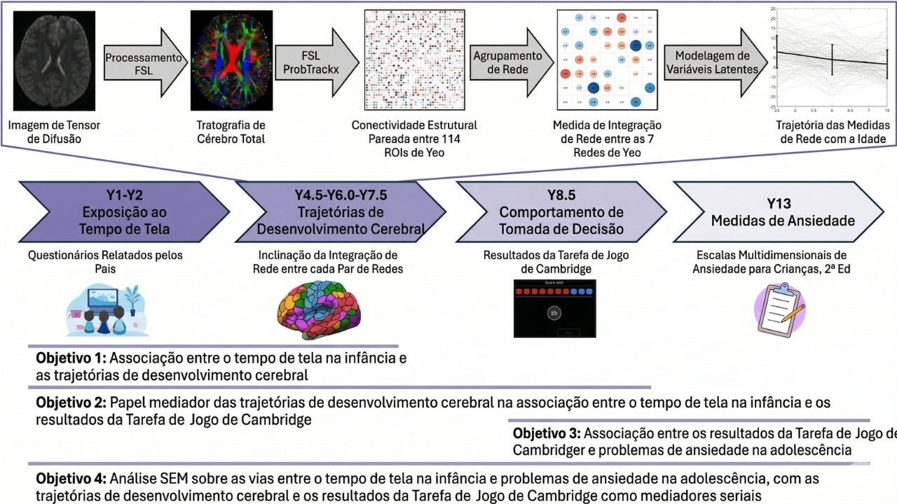 O tempo de tela em bebês está ligado a muitos desfechos negativos, incluindo ansiedade, mas os correlatos neurais subjacentes e as vias ainda são pouco estudados. Nosso objetivo era avaliar a associação direcional entre o tempo de tela do bebê, o desenvolvimento da topologia da rede cerebral, o comportamento de tomada de decisão e os sintomas de ansiedade na adolescência.