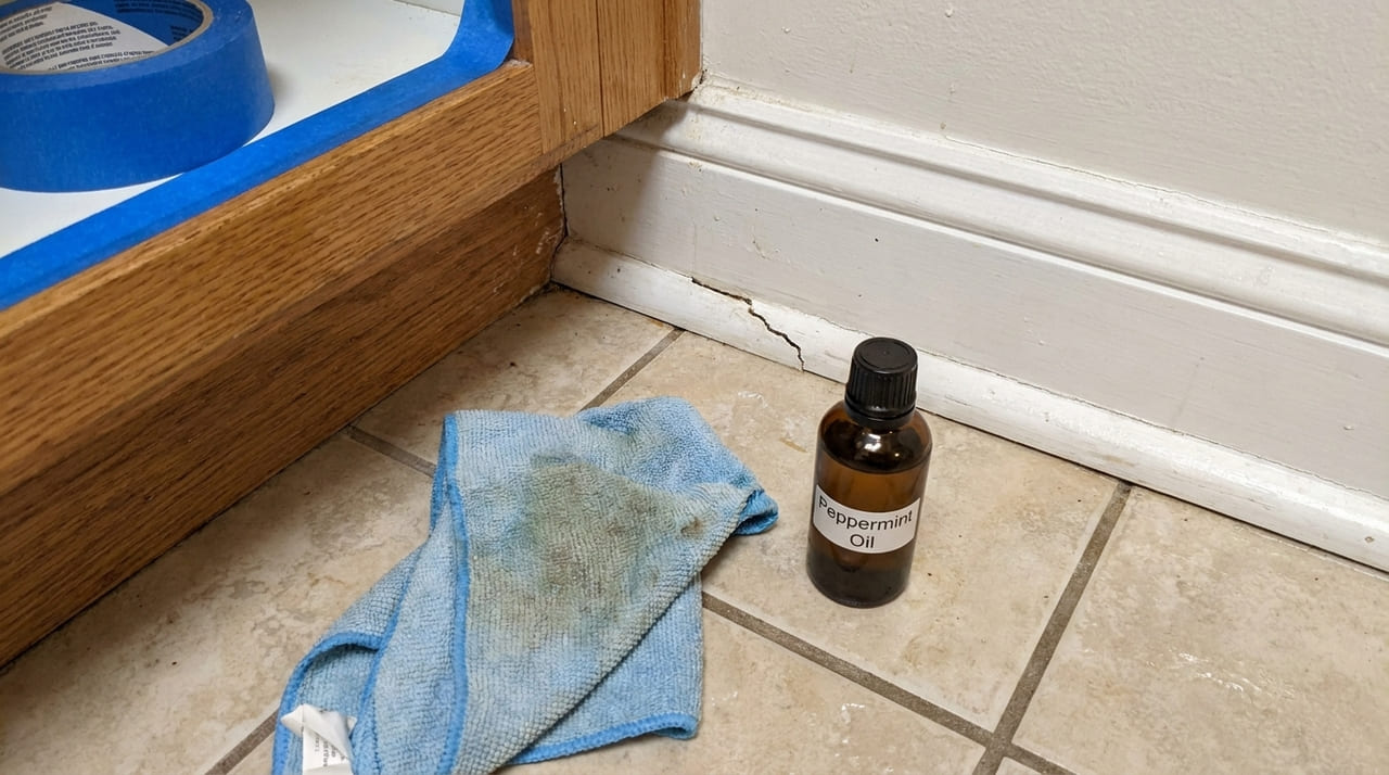 A aplicação estratégica do óleo de hortelã em frestas e bancadas afasta invasores enquanto mantém o ambiente perfumado e saudável.