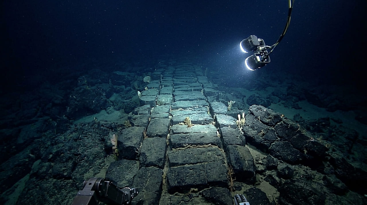 Uma câmera a mais de um quilômetro abaixo do Oceano Pacífico encontrou uma “estrada de tijolos amarelos” e deixa uma pergunta desconfortável sobre nossos mares