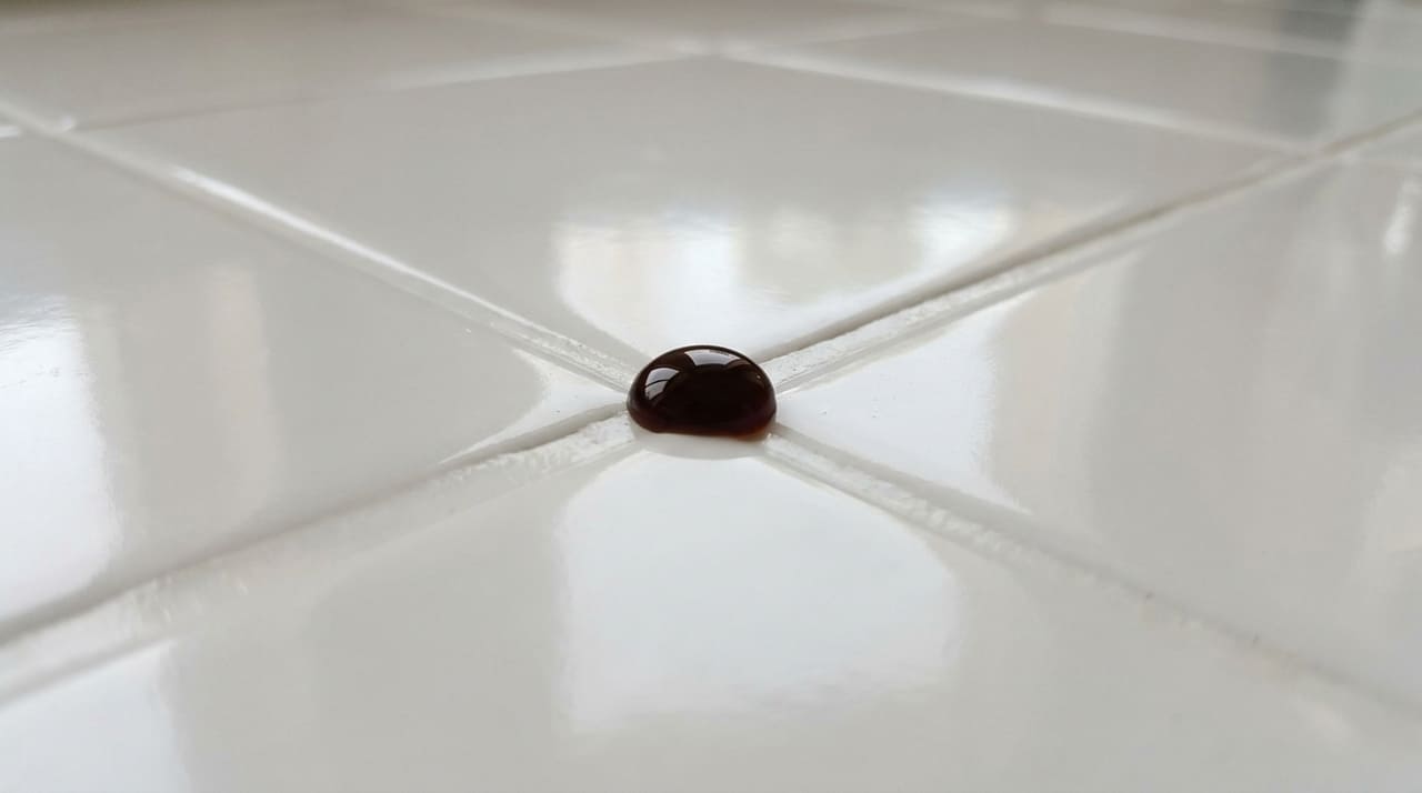 Investir em barreiras protetoras contra a umidade impede a proliferação de fungos e valoriza a estética dos revestimentos.