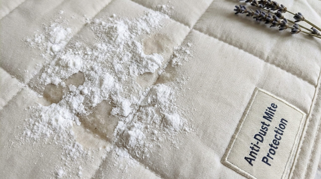 A técnica sueca de limpeza a seco neutraliza odores e remove alérgenos invisíveis que prejudicam a saúde respiratória durante a noite.