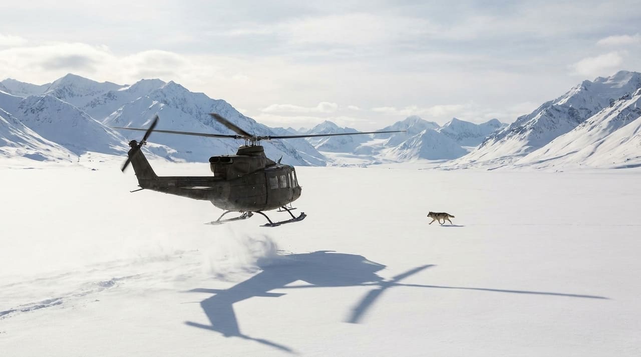 O plano estatal de abate aéreo de ursos e lobos busca proteger a manada de caribus Mulchatna, mas enfrenta resistência judicial e ética.